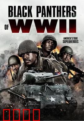 二战黑豹：钢铁死神